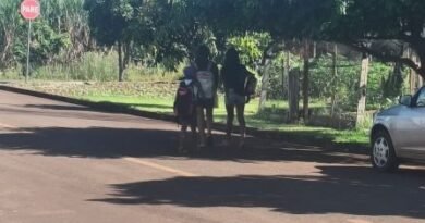 153dab9f-f3e7-47d5-a1b0-ff0842996024-447×312