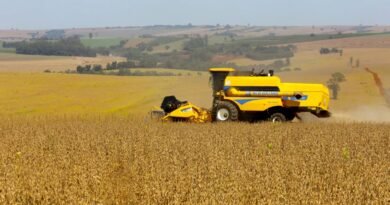 7696a322dd525a_colheitasoja_056