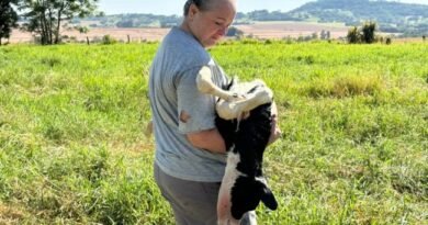 af508533ea1dad482fc4fce2dc9e775b