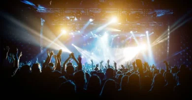 depositphotos_378242466-stock-photo-satisfied-people-concert-colored-light