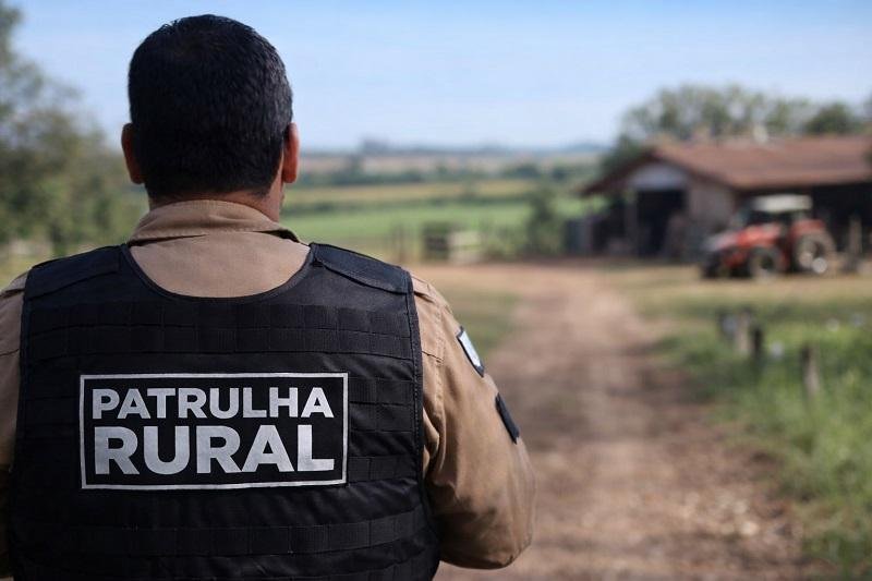 Furtos de leitões e equipamentos causam prejuízo em propriedade rural no distrito de Vila Nova