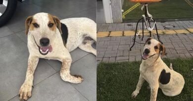 2026-02-19-16-10-03-abacatejpg