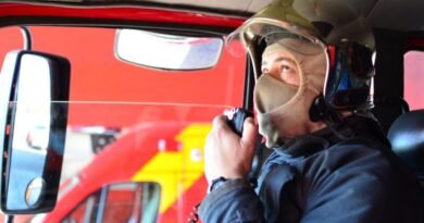 Gato-do-mato mobiliza Corpo de Bombeiros e veterinários em bairro de Palotina 2026-02-20-14-57-38-a310f3c895d84c1c9208e61f750b1765