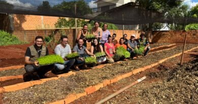 Horta - Projeto Entre Raízes e Afeto