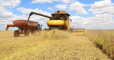 LSPA_HOME_Jaelson-Lucas-Arquivo-AEN