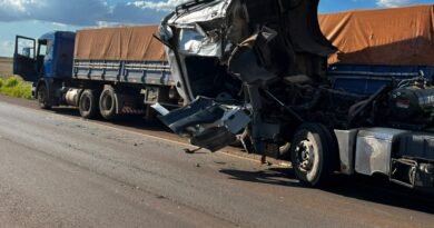 WhatsApp Image 2026-02-04 at 17.35.4aa6