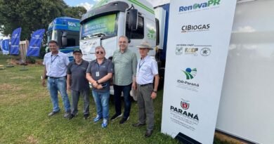 whatsapp_image_2026-02-17_at_15.05.02_0