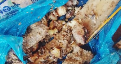 11B8DBAD-5EBC-4F82-8346-43A4EDCE7300