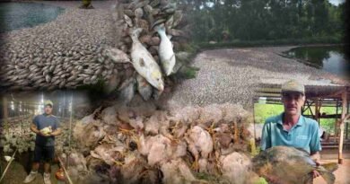 177278695569aa950be8fd8