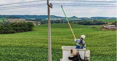 177317843869b08e4665238