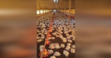 2026-03-04-16-02-44-sem-titulo