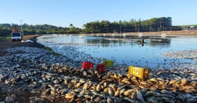 2026-03-06-10-29-00-2026-02-27-15-14-08-g1-pr-32-