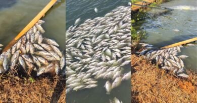 2026-03-10-09-05-17-imagem