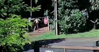 Acusado de matar cãozinho “Mancha” em Marechal é preso pela Polícia Civil 2026-03-24-10-40-11-sem-titulo22