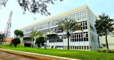 69b162fa3a1bf-z-large