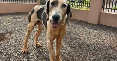 D528600B-CDE6-455A-8084-6AEA060200BA