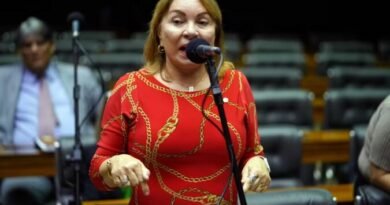 Deputada Gorete Pereira é apontada como articuladora de organização criminosa no INSS img20191030130304435-1-675x450