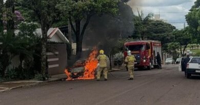 img_20260311140950_110464e5a297ec4da3f2fce7c952c29d