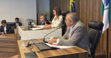 whatsapp_image_2026-03-17_at_13.16.47_1