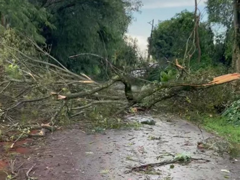 Temporal causa estragos e interdita estrada do Lira em Marechal Rondon