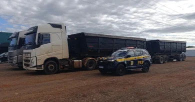 69e3c881830c9-z-medium