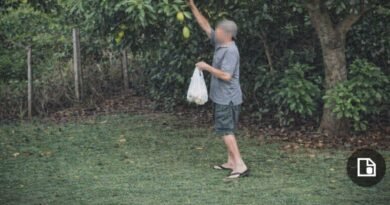 ChatGPT Image 17 de abr. de 2026, 14_53_53