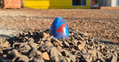 WhatsApp Image 2026-04-02 at 17.22.41