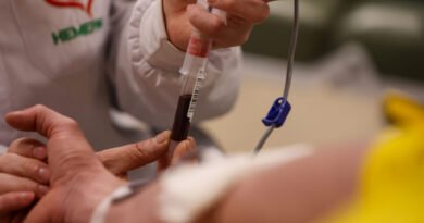 Hemepar, doação de sangueFoto Gilson Abreu