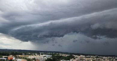 paulo-silveira-padilha