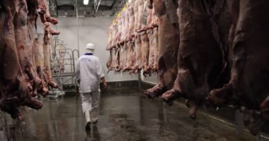 União Europeia barra carne brasileira por falta de garantias sobre antibióticos 2012071101459