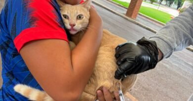 Campanha de vacinação antirrábica imuniza 143 animais em Quatro Pontes Ação de vacinação antirrábica 16-05-2026h