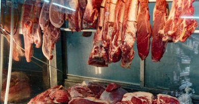 Brasil diz que recebeu com surpresa suspensão da UE para compra de carne ato20241109032-685x450