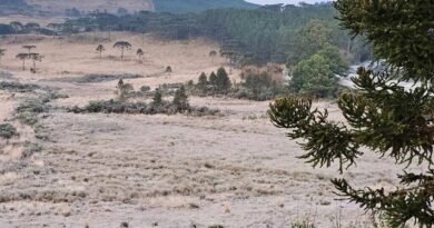 Serra Catarinense registra -5,6°C, a menor temperatura do ano em Santa Catarina image