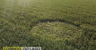 Círculo misterioso em lavoura de milho chama atenção de moradores no interior de Santa Helena IMG_2238