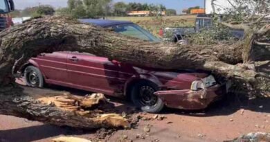 Ventos acima de 60 km/h provocam queda de árvores, danos em casas e carro atingido em Cascavel 2026-07-17-15-11-59-17843028286a5a4cec31f59