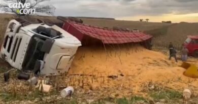 Carreta com 750 sacas de milho tomba em estrada rural em Vila Ipiranga image