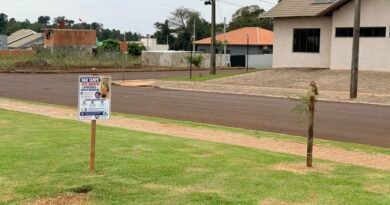 Quatro Pontes orienta população sobre preservação de lar de corujas-buraqueiras 1