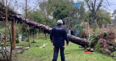 Sul, Sudeste e Centro-Oeste têm alerta para tempestades e vendavais 20260805113103_34cb317516dc2287