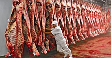Além da UE, mais um país fecha a porta para a carne brasileira e China anuncia tarifa de 55% aeeccedf060d03f60910547400e8a41c