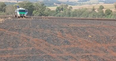 Incêndio atinge área de plantação de milho recém-colhida entre Quatro Pontes e Novo Três Passos f4affcc9-ac46-4a2d-8c22-f0b49c50540c
