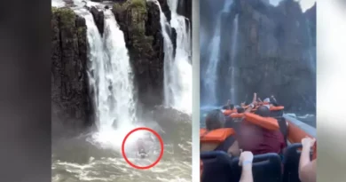 “Acabamos todos debaixo do barco”: o que dizem os depoimentos dos sobreviventes do acidente nas Cataratas do Iguaçu image-6-800x450