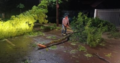 Equipes da prefeitura de Marechal atuam para minimizar estragos causados pelo temporal 16aa29280765b0_803050041_18121845107481740_8146821921788823753_n__Copy_