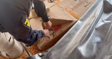 PRF apreende 139,5 mil maços de cigarros e 53 quilos de maconha que seriam levados a Toledo 20260925144646_4ea39097119220e3