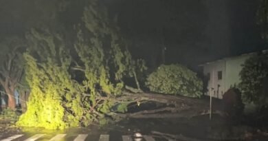 Temporal com ventos fortes e granizo provoca destelhamentos e queda de árvores em Marechal Rondon e região 56aa297a5d234c_WhatsApp_Image_2026_09_10_at_08.36.42