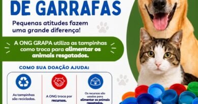 Tampinhas de garrafas podem ajudar na alimentação de animais resgatados pela ONG GRAPA Card tampinhas