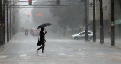 Paraná tem cidades sob alerta vermelho de grande perigo para tempestade, com ventos de até 100 km/h; veja quais e previsão do tempo image-1-14