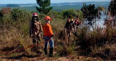 Defesa Civil abre curso gratuito para formar voluntários no Paraná quer-ser-voluntario-situacoes-desastre-defesa-civil-parana-abre-inscricoes-curso-gratuito-960x592