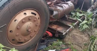 Morador de Maripá morre e outro fica ferido após caminhão carregado de canola tombar na PR-487 6adb3deed995b-2026-10-22-17-47-10-858771329-1088168100680212-354-medium-800x450