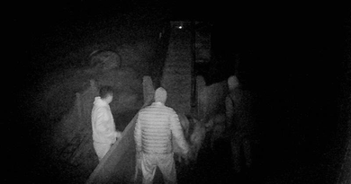 Furto de aproximadamente 25 suínos em propriedade rural mobiliza produtor em Vila Ipiranga image